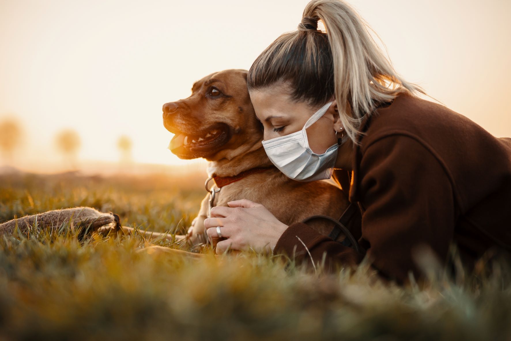 Reino Unido: incrementa 24% el abandono de mascotas por crisis económica y pandemia