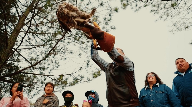 Más de 800 especies animales han sido liberadas en la Sierra Fría en los últimos 3 años