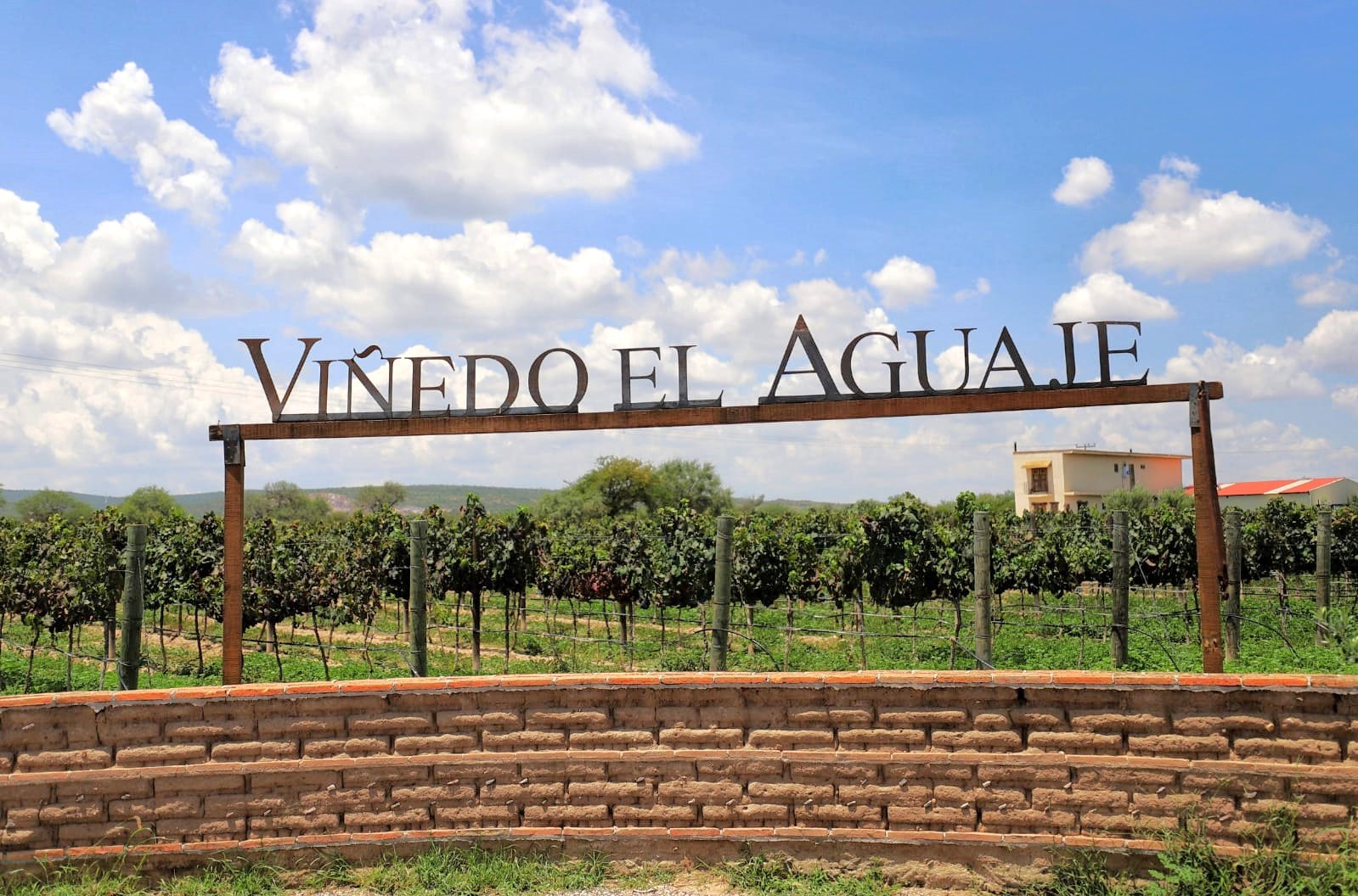 Con éxito se celebra la Ruta del Vino