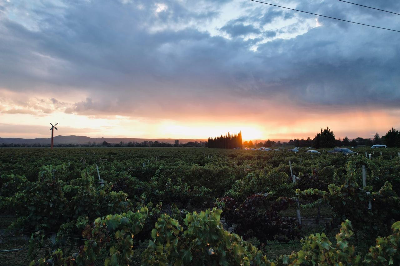 Inicia la Ruta del Vino 2022 Aguascalientes