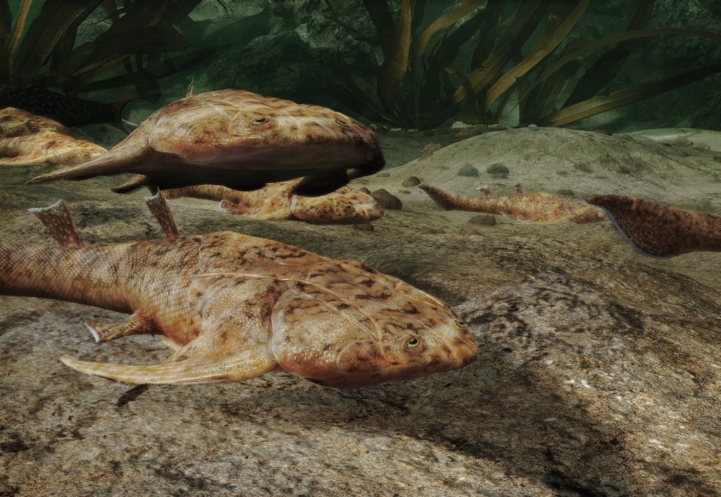 China: fósiles de peces esclarecen la evolución del ser humano