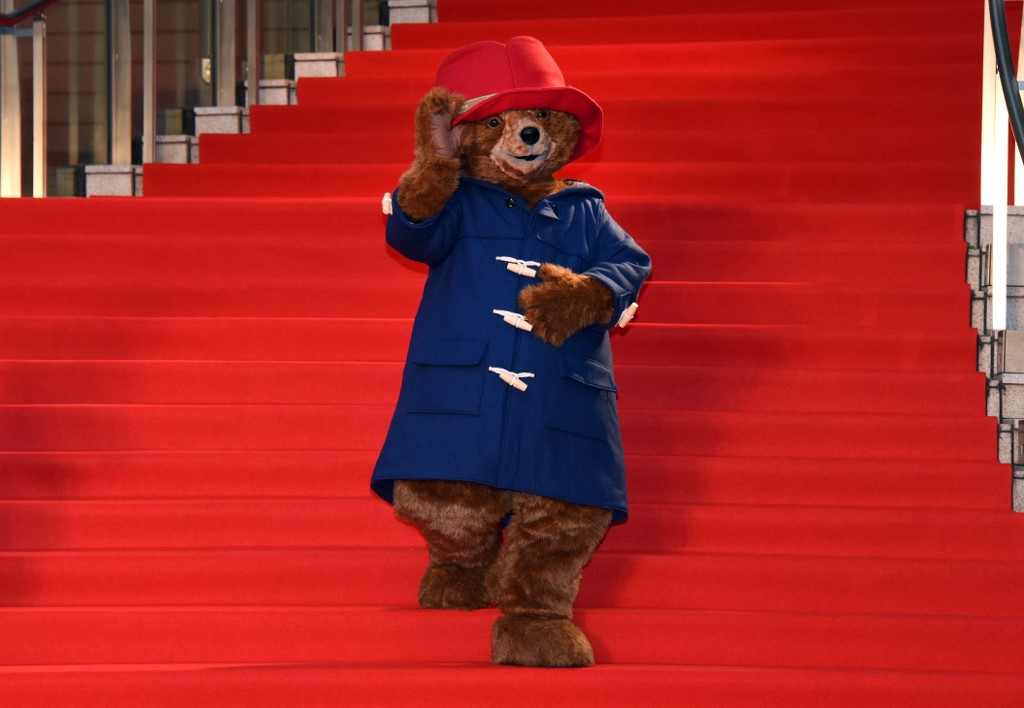 Oso Paddington