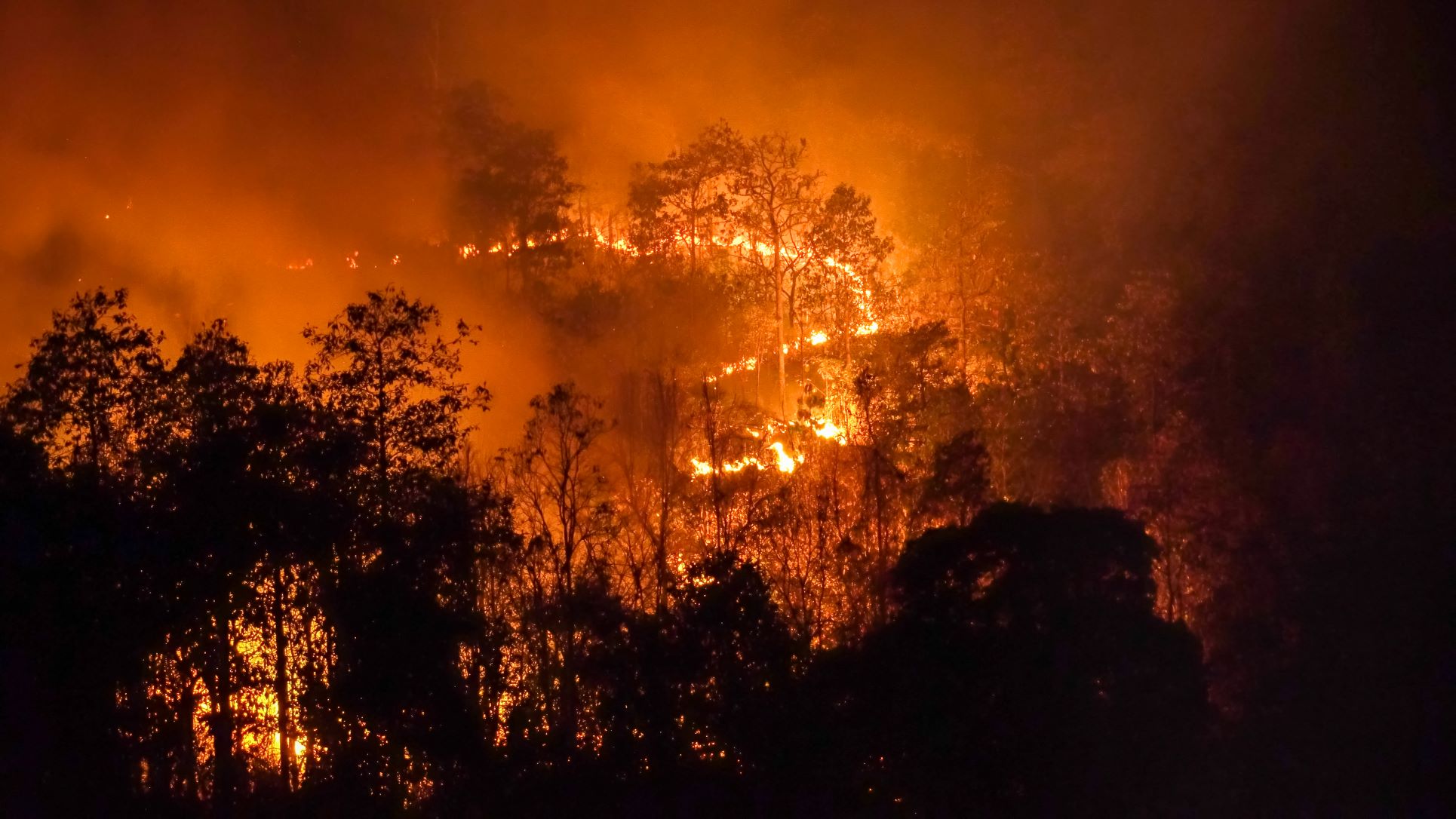 &#8216;Bajar la temperatura para no ahogar al mundo&#8217;, urge la ONU a líderes mundiales