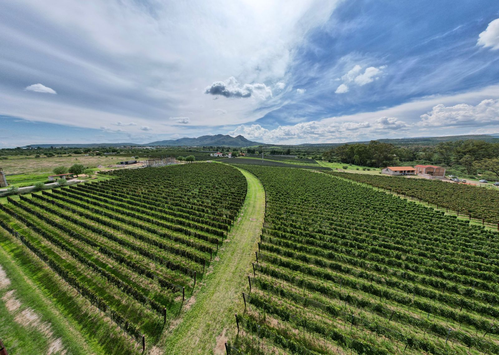 Con éxito concluyó la Ruta del Vino 2022