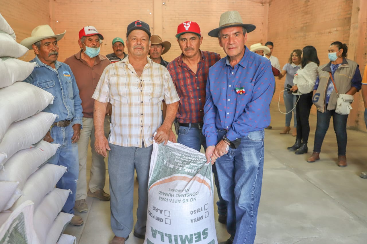Entregan semilla de avena a productores de Jesús María