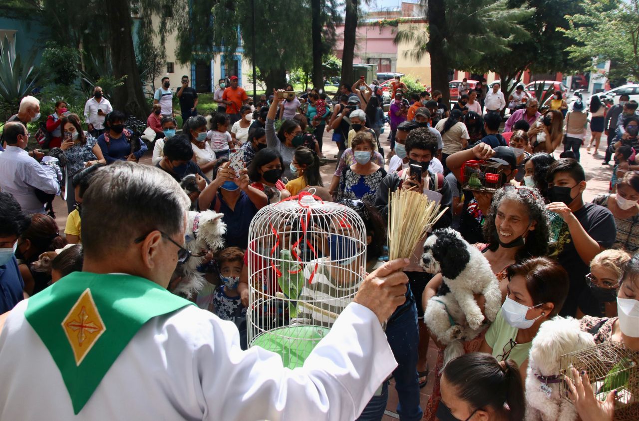 Oaxaca bendice a sus mascotas