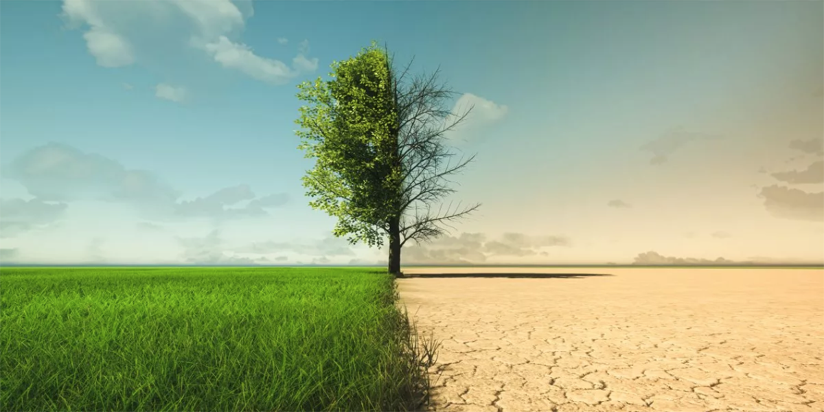 Cambio climático: ¿cuándo lo descubrimos y desde cuándo es un problema?