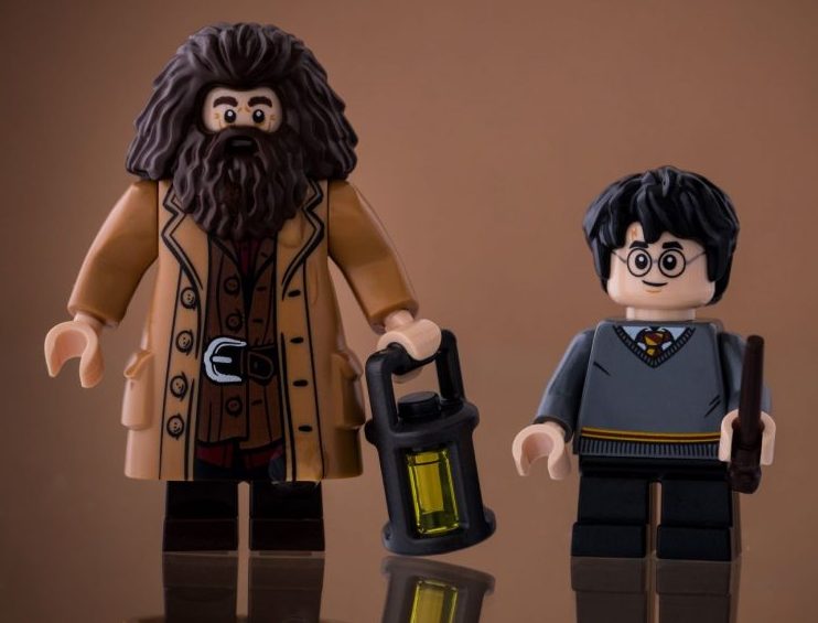 Hagrid Robbie Coltrane