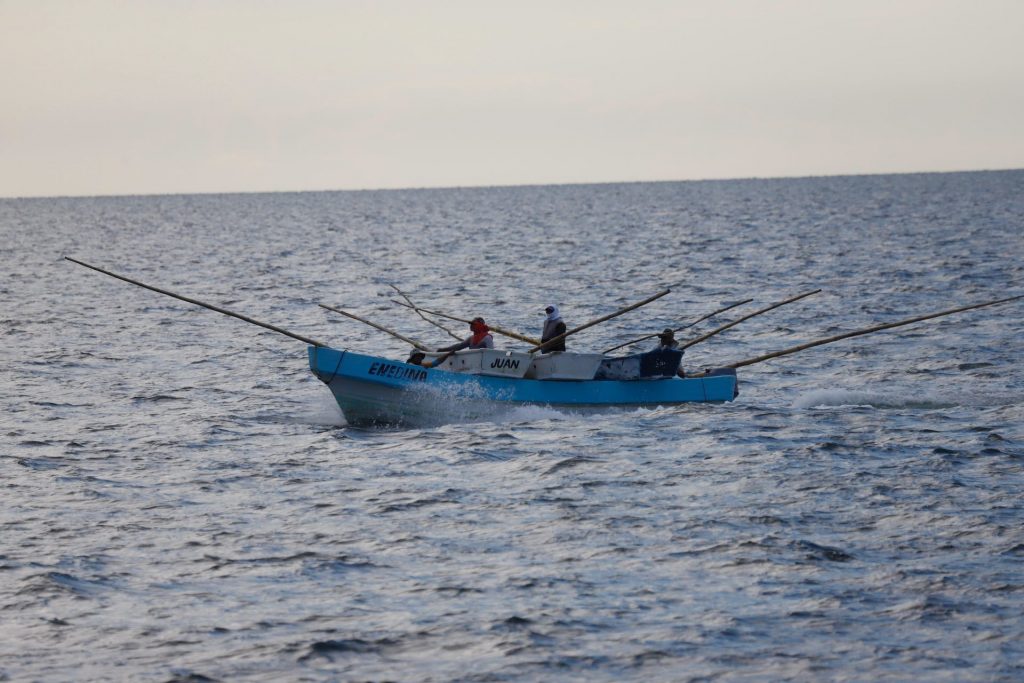 El futuro en el Mar de Cortés: acuicultura y pesca ilegal
