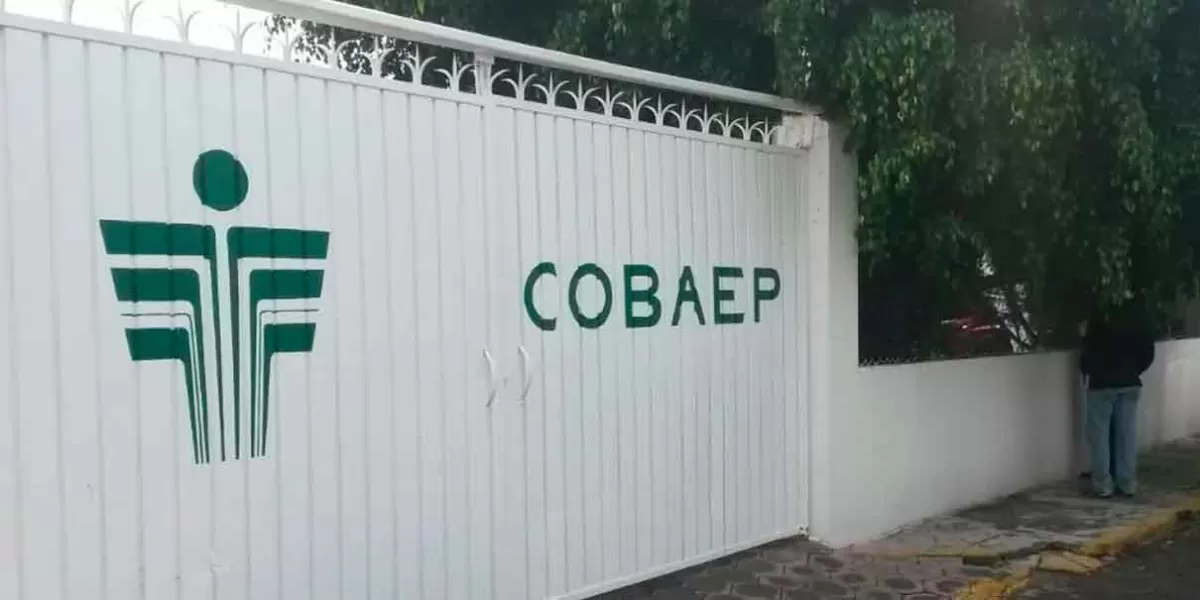 Se busca perfil honesto para encabezar la dirección del Cobaep