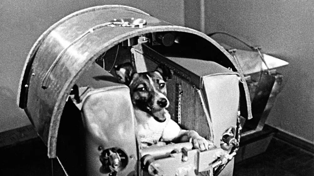 Laika espacio