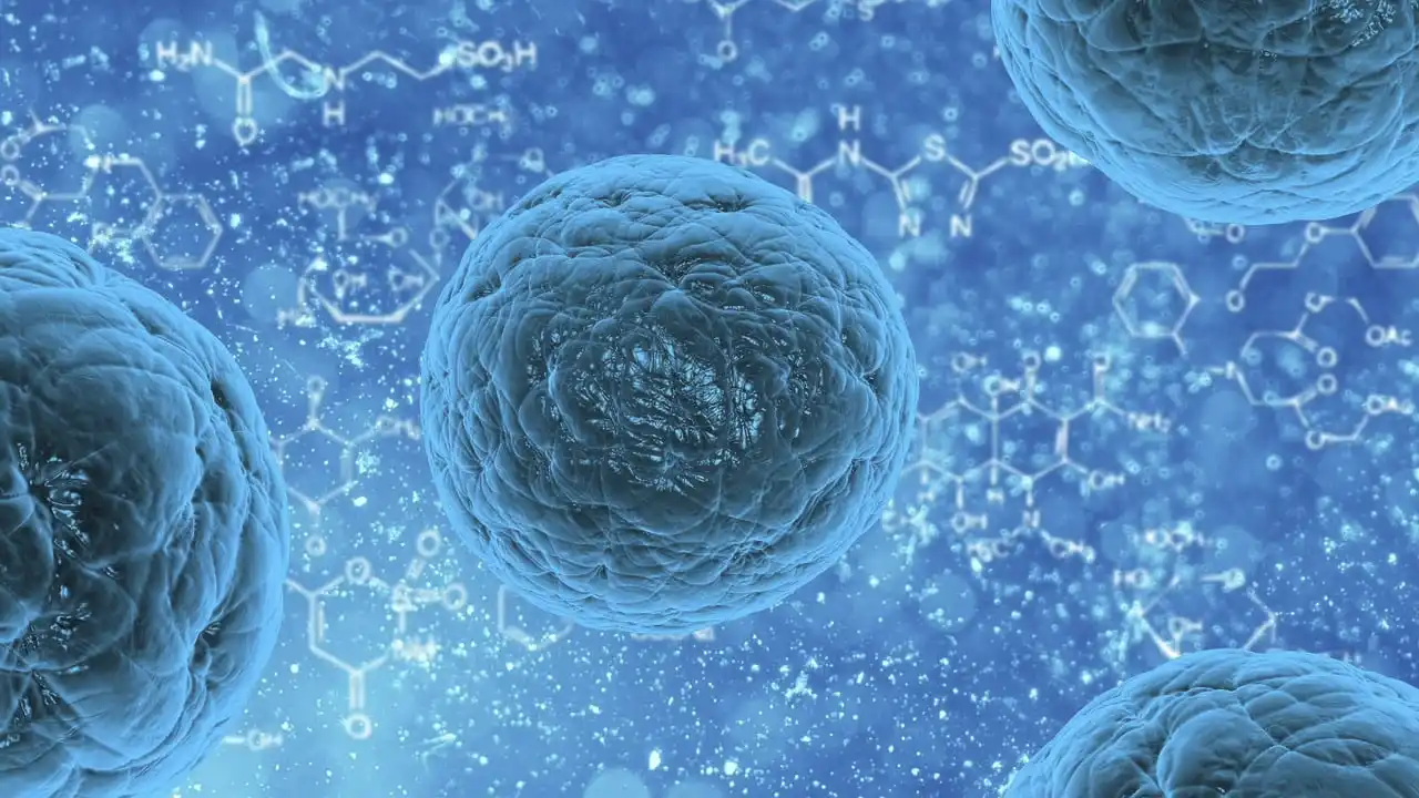 meningitis aséptica