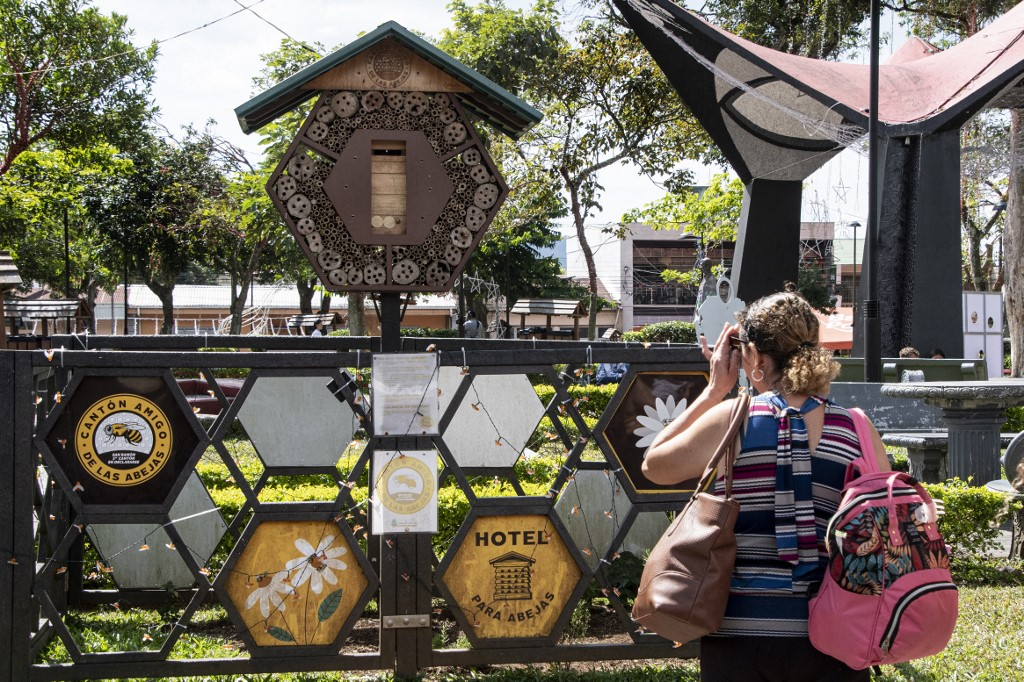 &#8216;Hotel para abejas&#8217;, un sitio de Costa Rica para potenciar la polinización