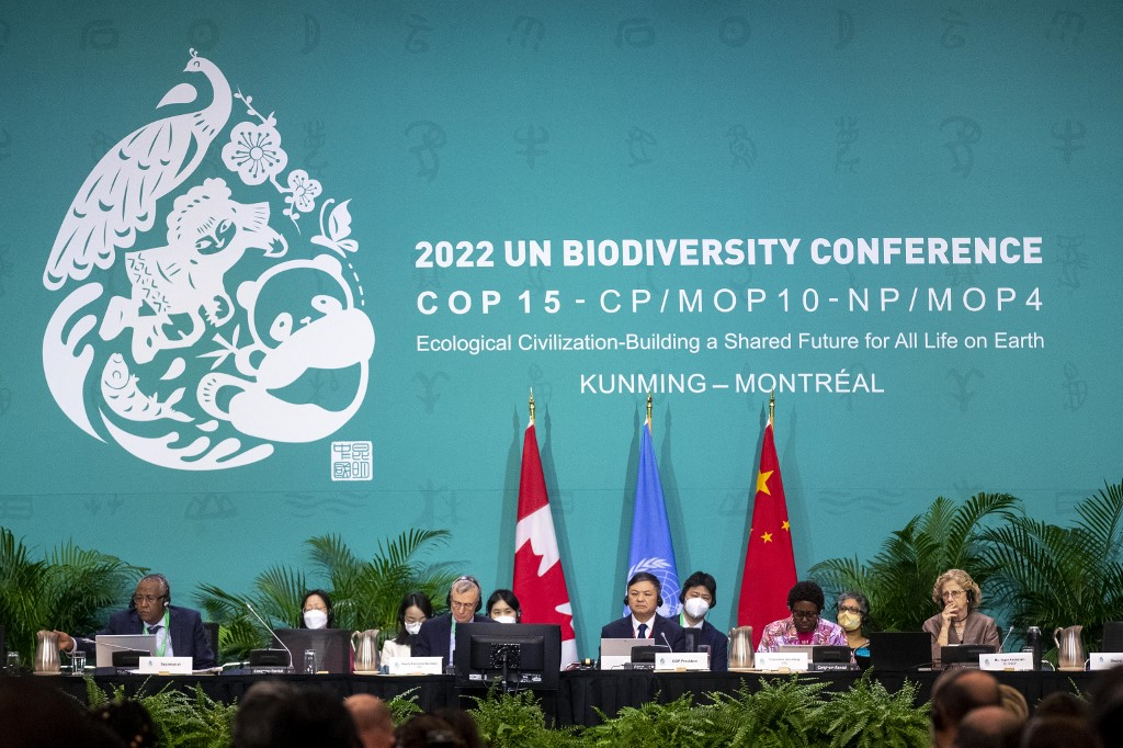 COP15 planeta
