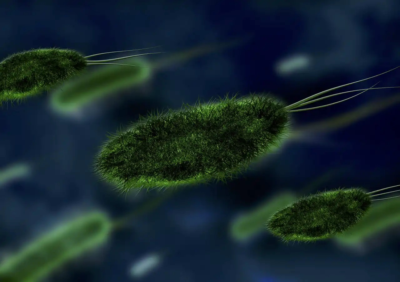 México: fiscalía busca a siete personas relacionadas con brote de meningitis aséptica
