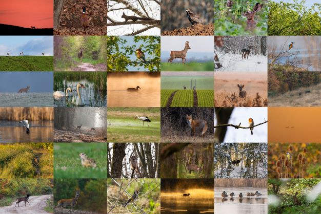 biodiversidad indígenas