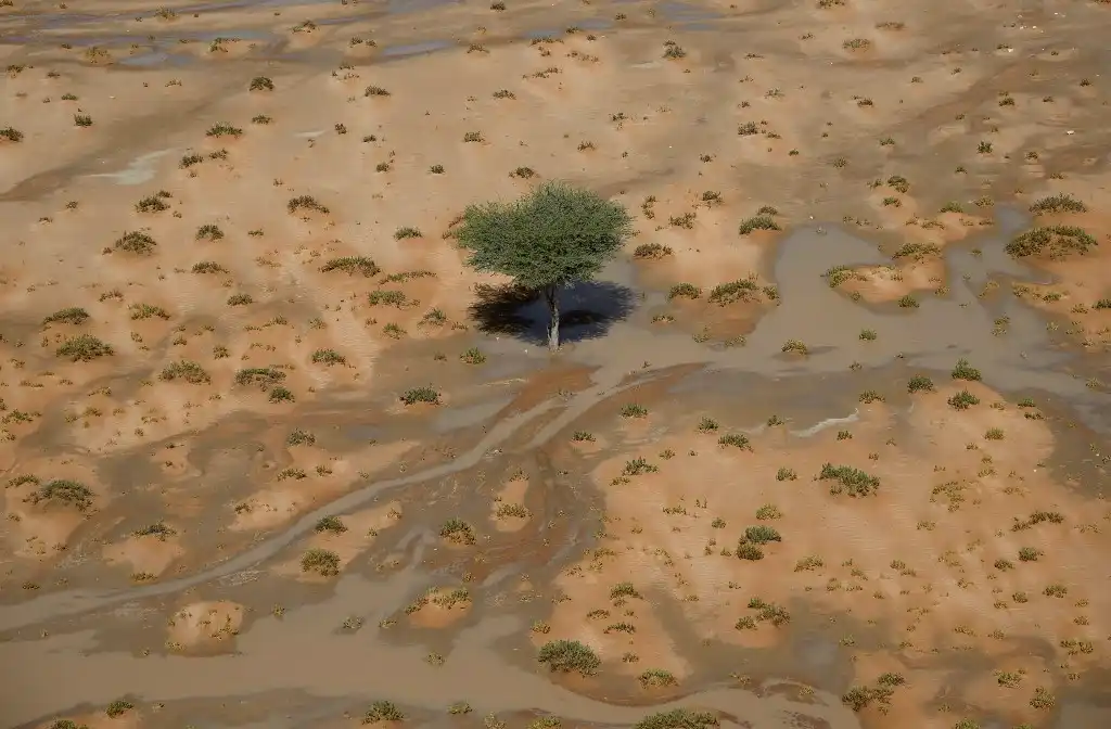 Rally Dakar