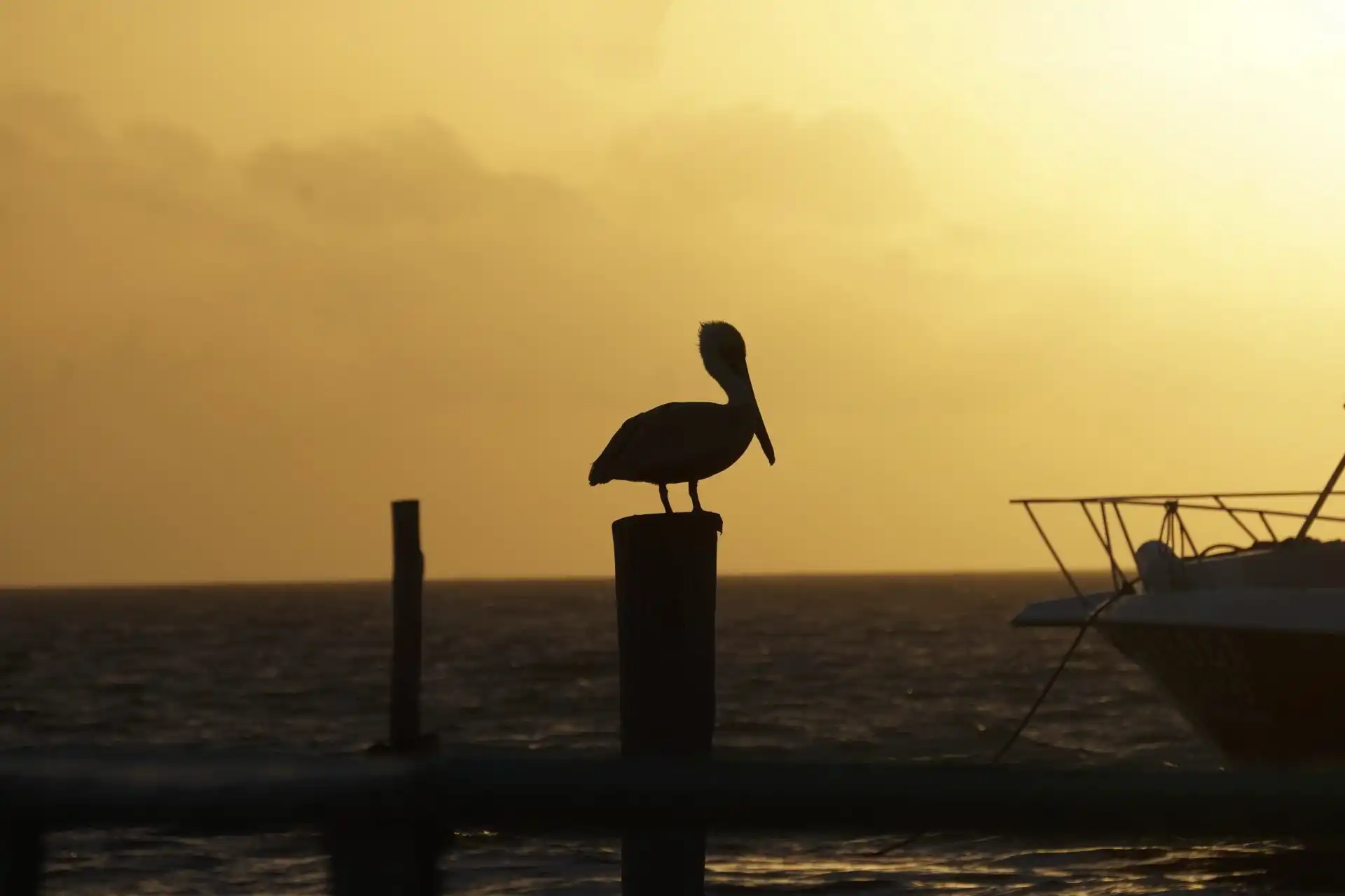 Amanecer