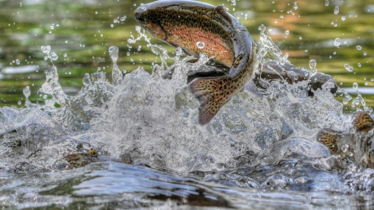 EUA agua contaminada