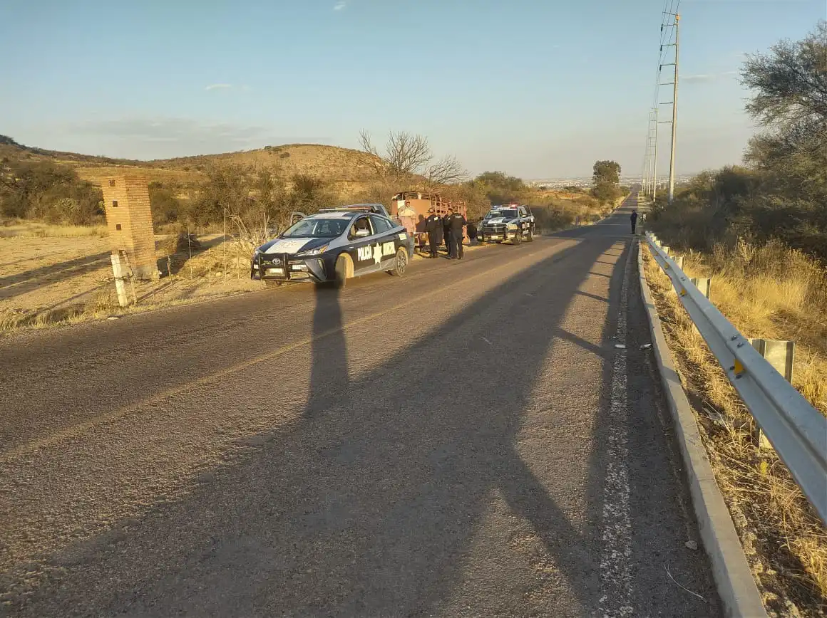 Realizan recorridos de vigilancia para prevenir el abigeato en Jesús María
