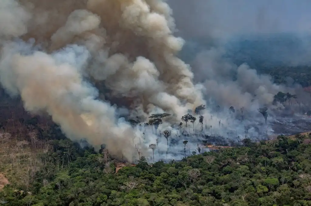 Amazonía Brasil