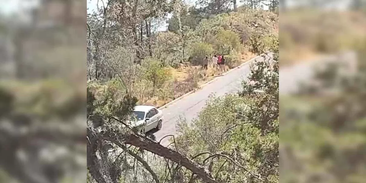 Encuentran a 5 ejecutados en carretera de Libres; cuatro hombres y una mujer, las víctimas