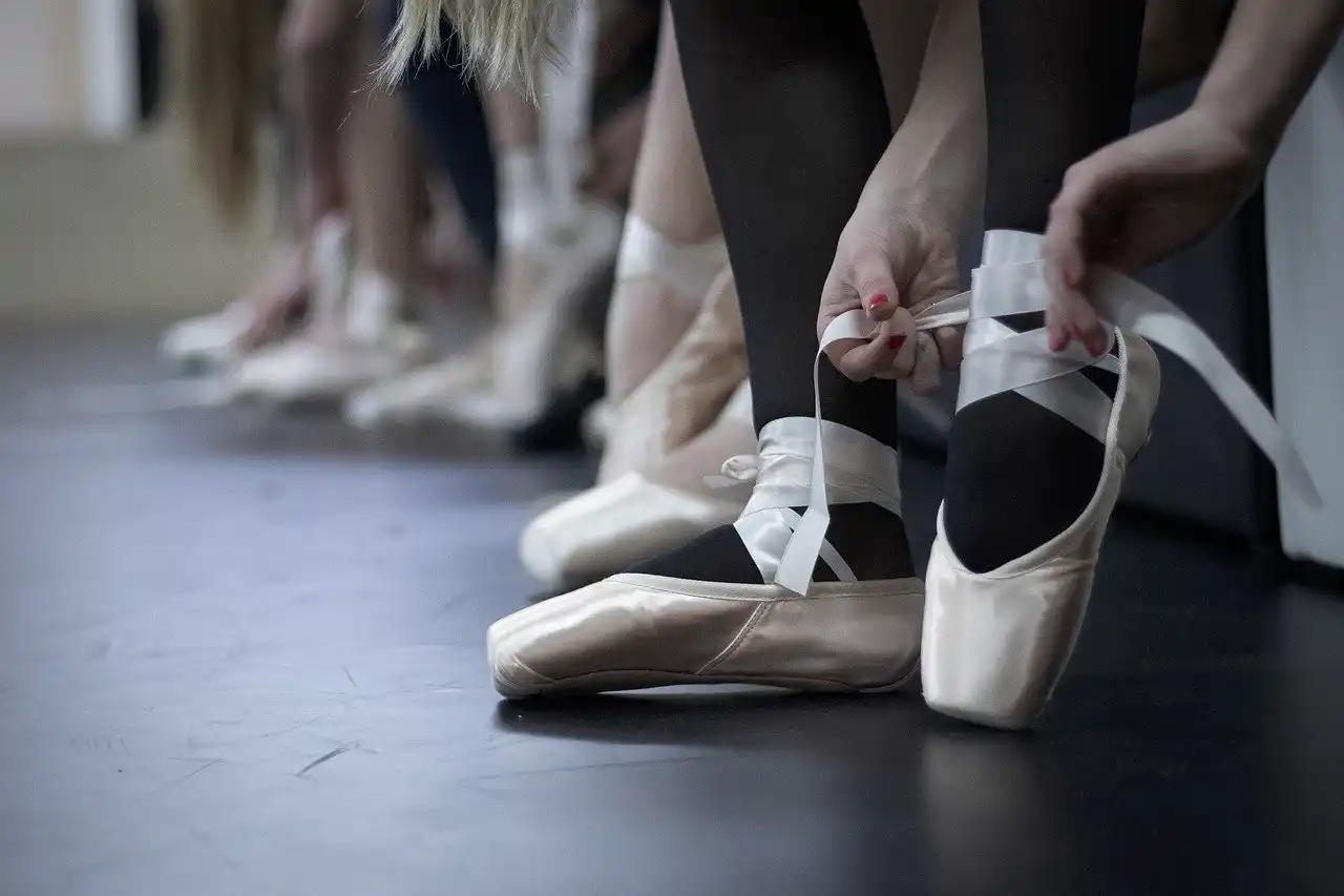 Director ballet heces perro
