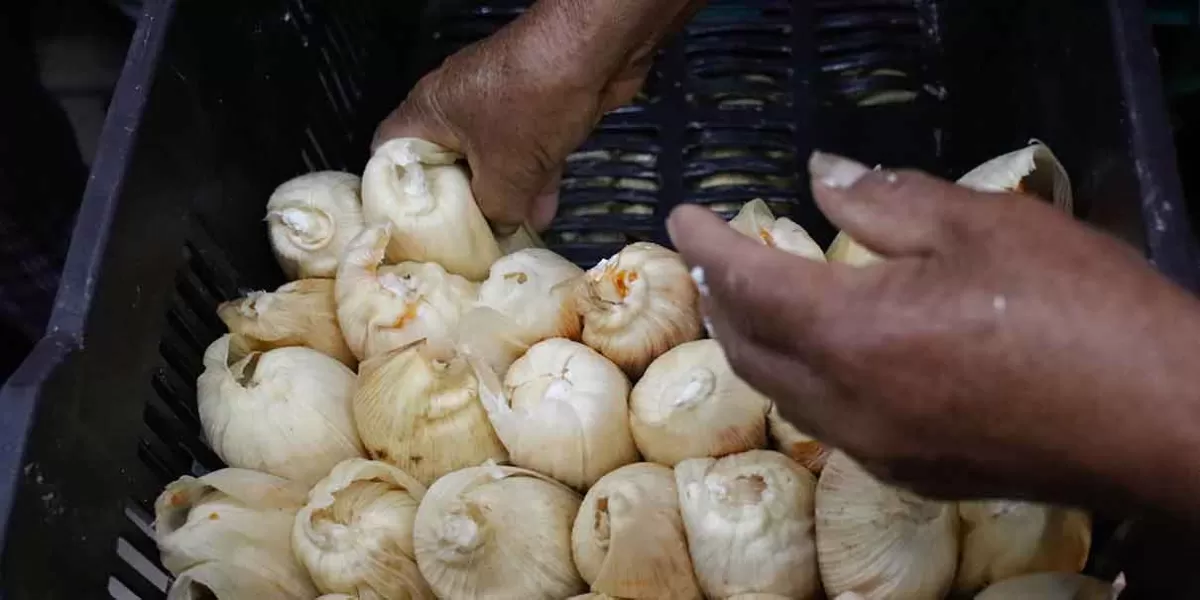 Hasta 2 mil tamales Misael venderá este día de la Candelaria