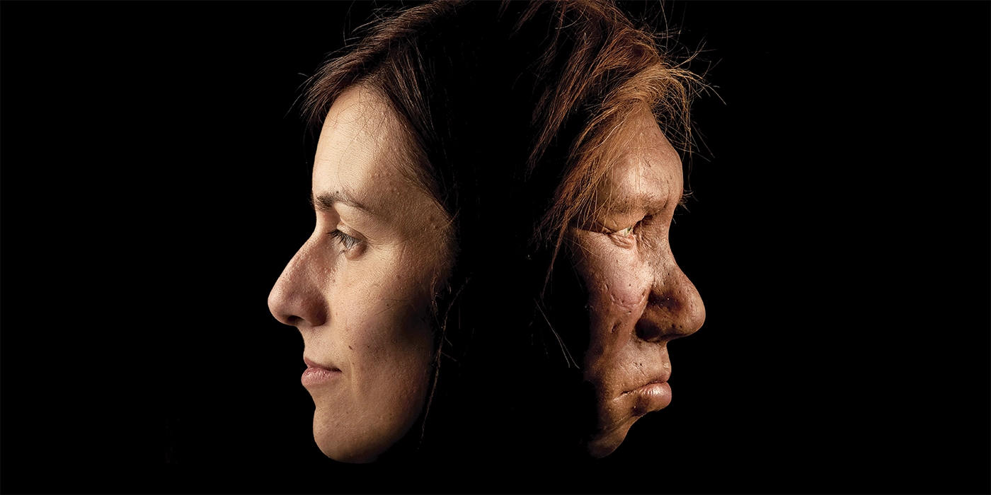 neandertales