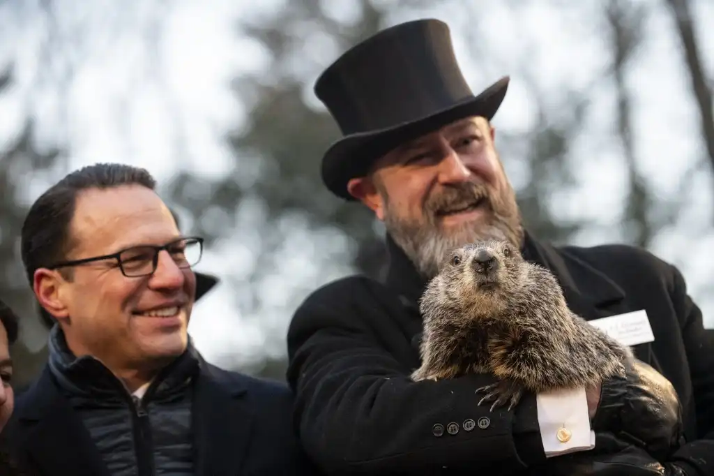 Phil marmota