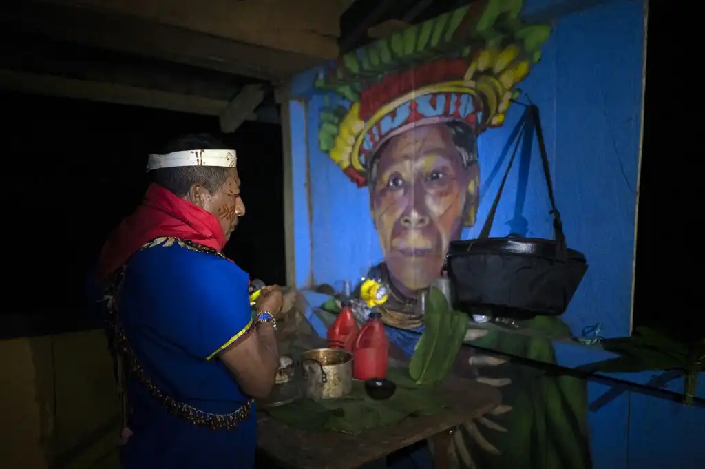 ayahuasca planta medicinal