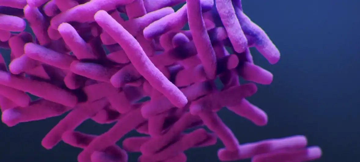 Muertes por resistencia antimicrobiana podrían aumentar a 10 millones al año