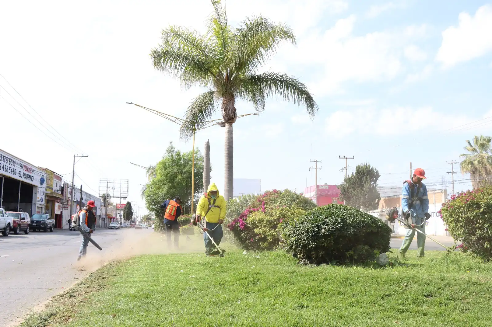 camellones servicios públicos