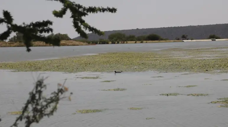Dejan las lluvias 5 presas con más de 50% de agua en Hidalgo