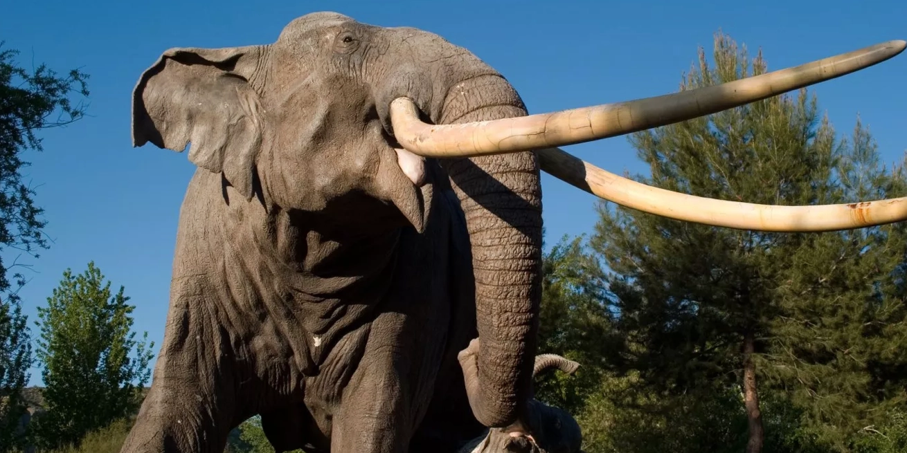 Hombre sobrevive a ataque de hiena, pero muere pisoteado por un elefante