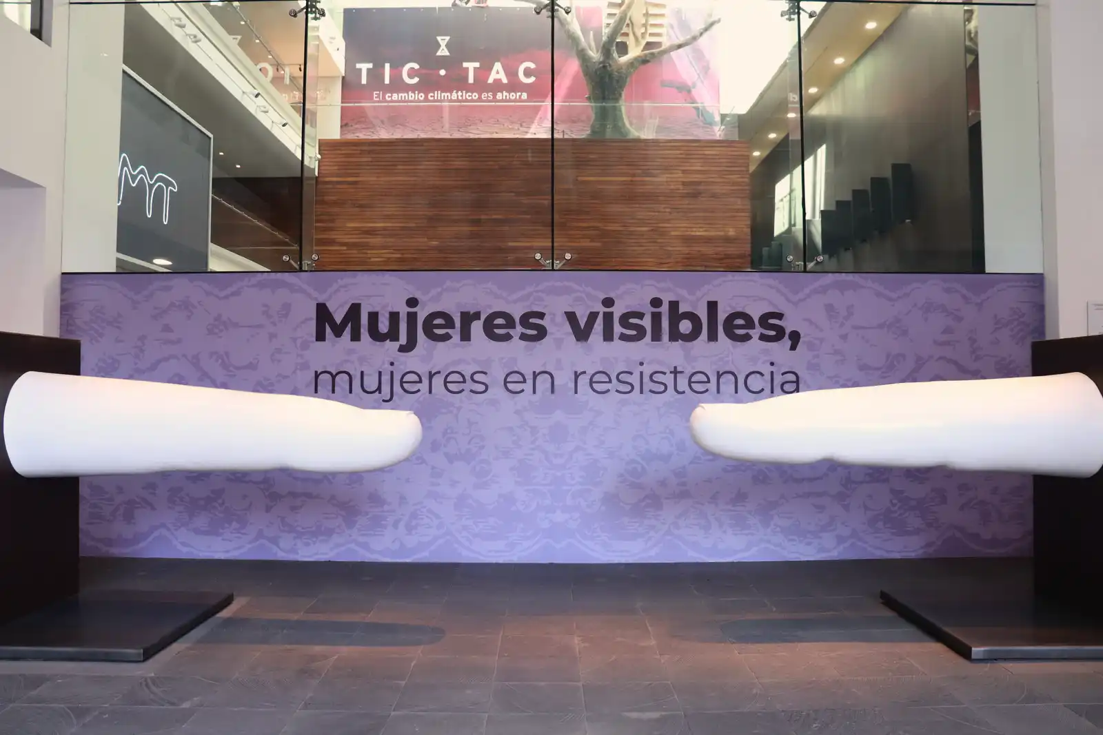 Mujeres Violencia