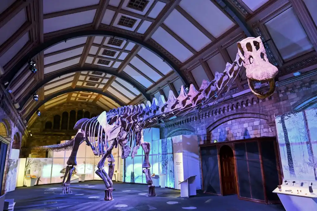 Titanosaurio dinosaurios