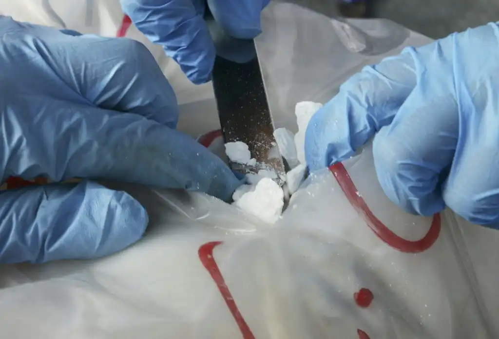 Producción de cocaína se dispara &#8216;drásticamente&#8217; a nivel mundial