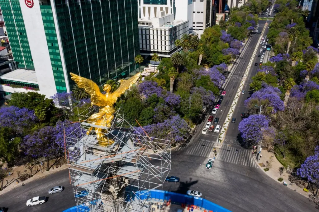 jacarandas CDMX