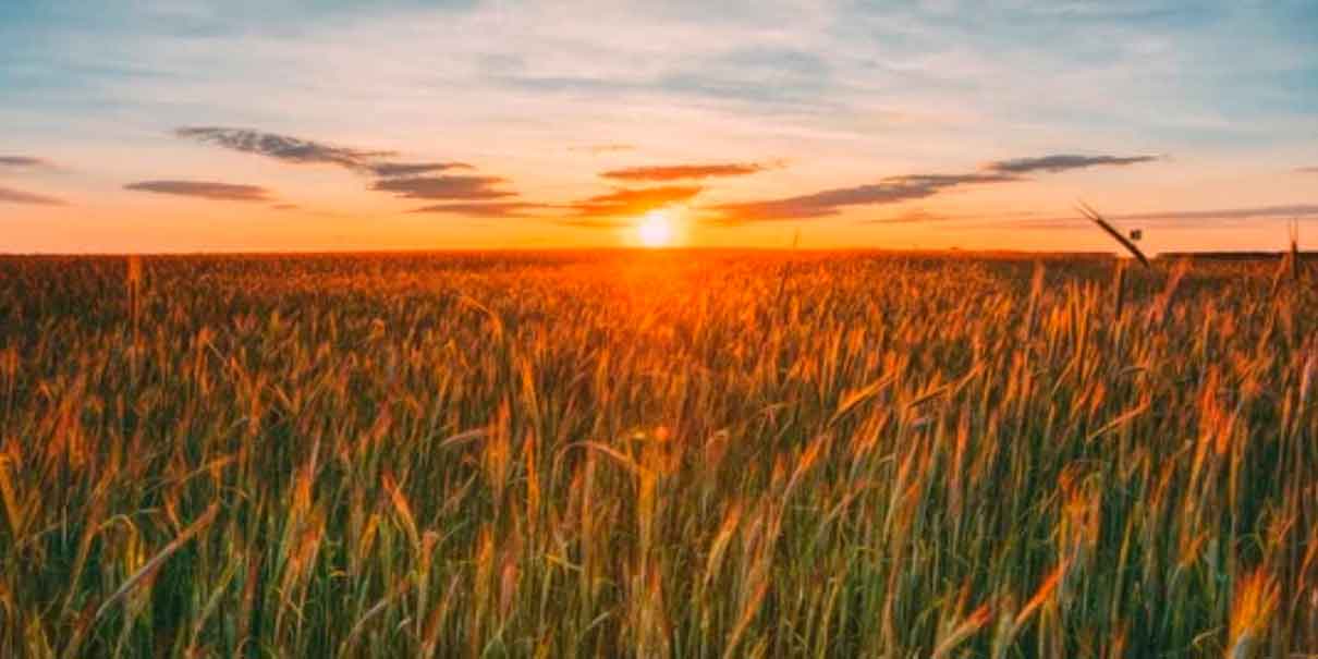 The Next 150 recauda 2 mdd para invertir en proyectos que ayudan a combatir el cambio climático