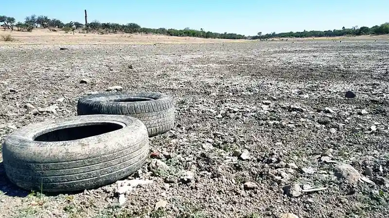 Sequía ya dejó pérdidas en el campo de Aguascalientes