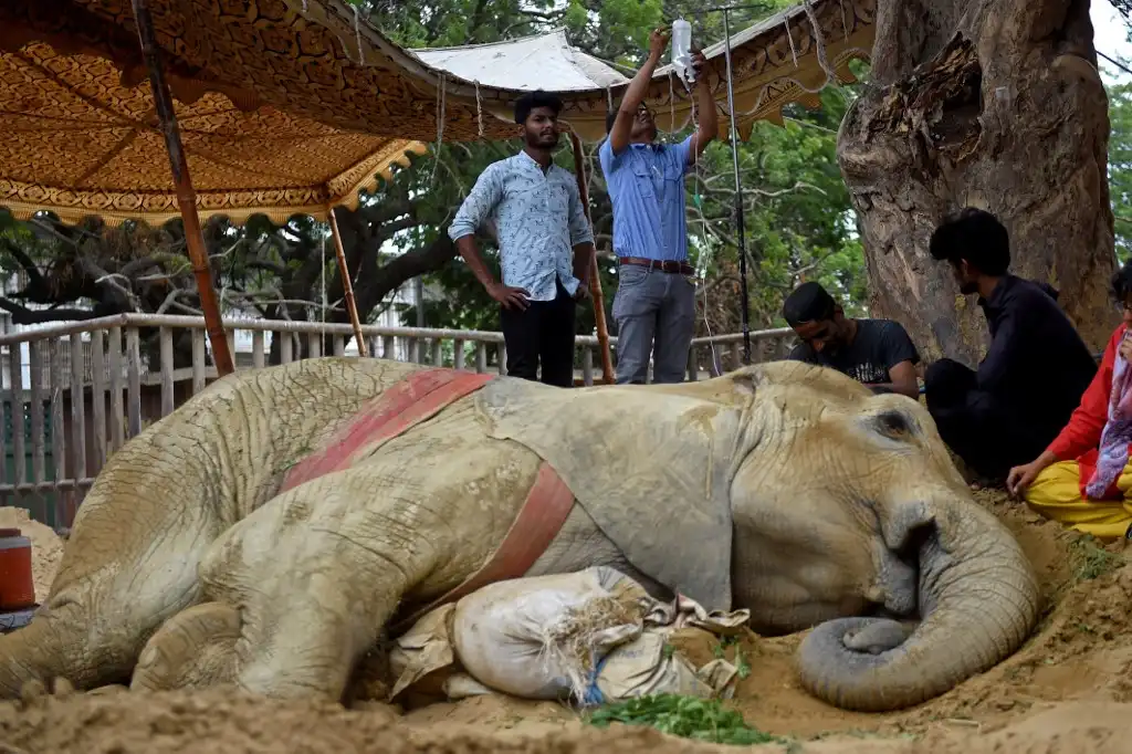 Elefante asiático