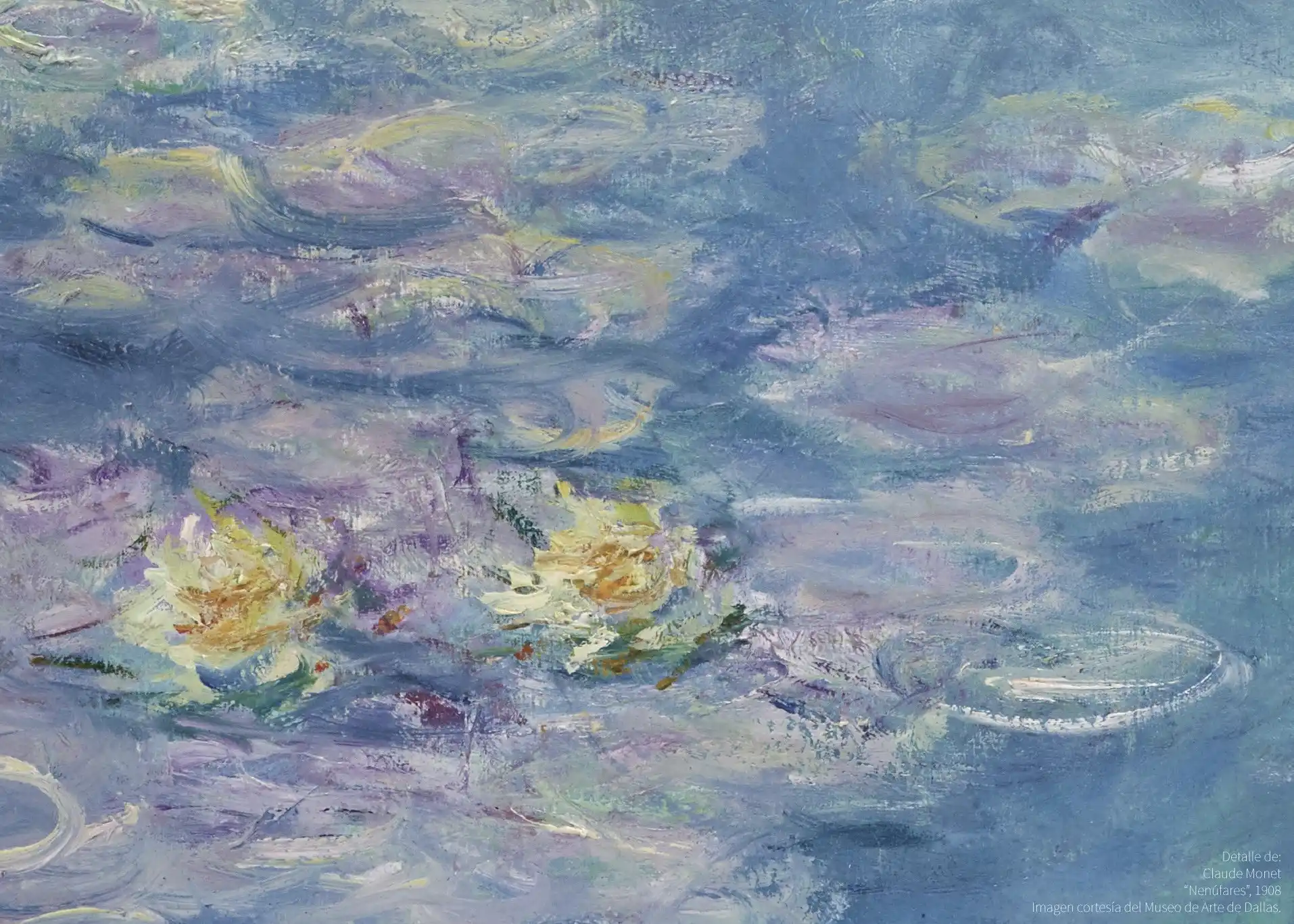 Monet México