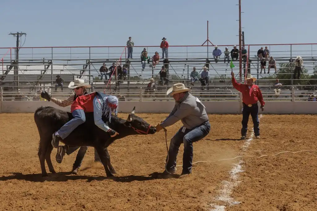 Rodeo LGBT