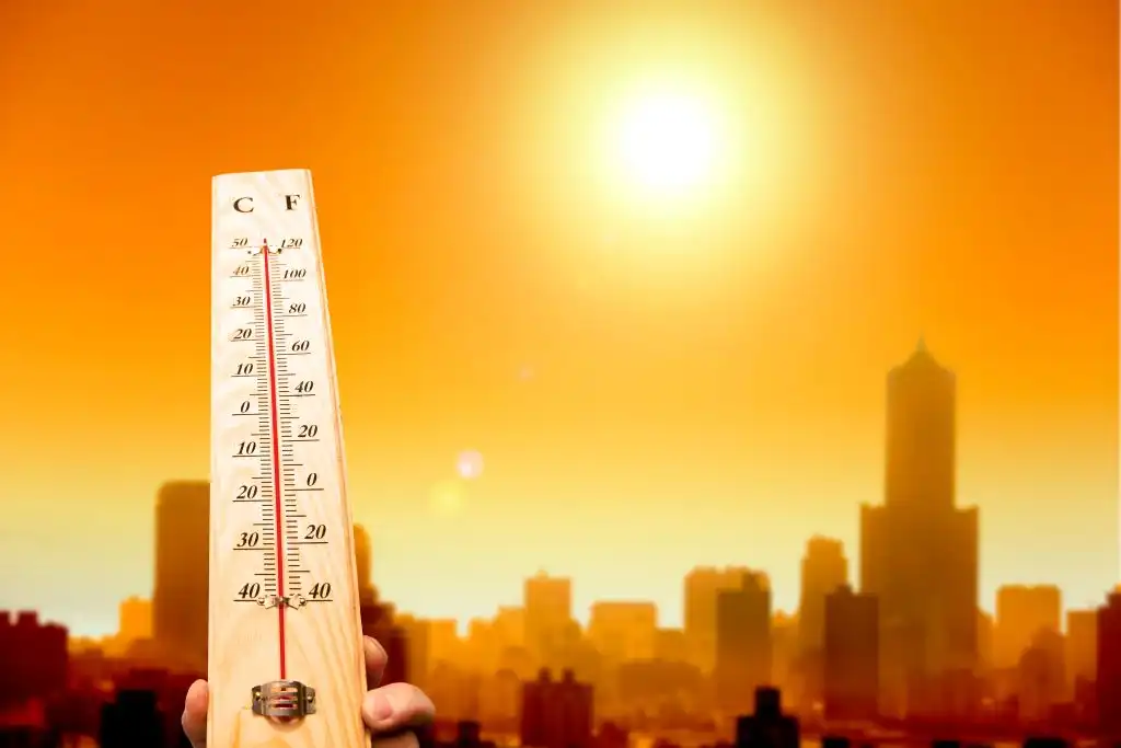 Temperatura mundial 2022