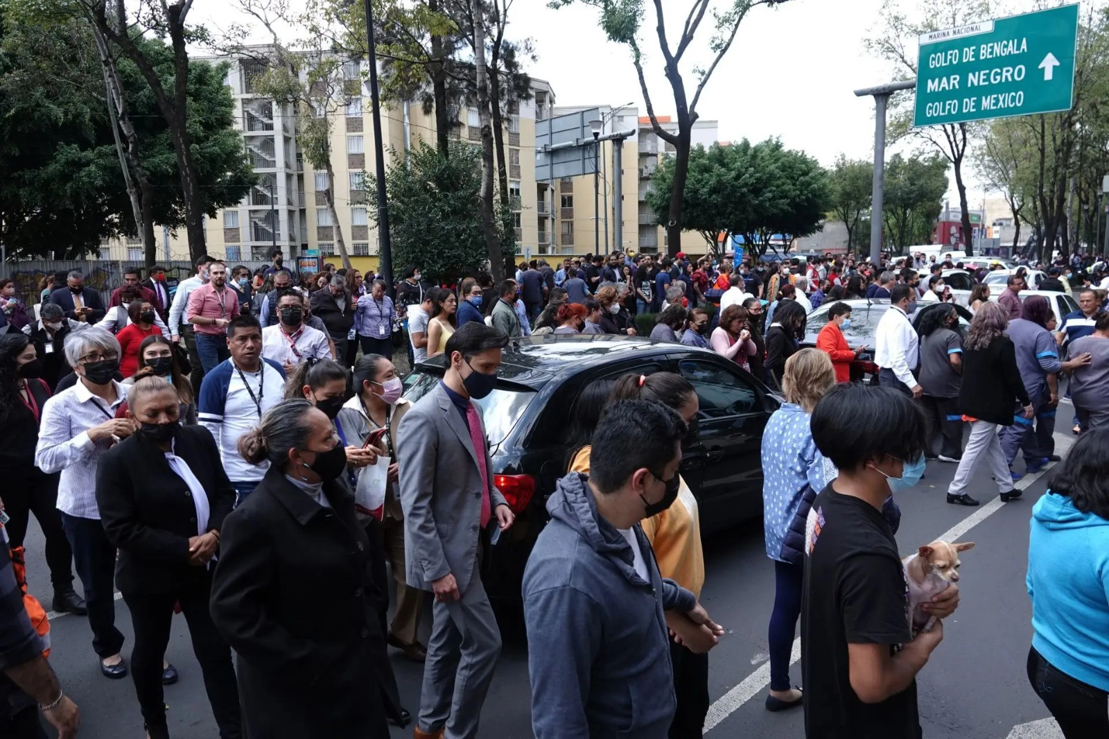 En 23 años, CDMX fue epicentro de 266 sismos; UNAM descarta un aumento