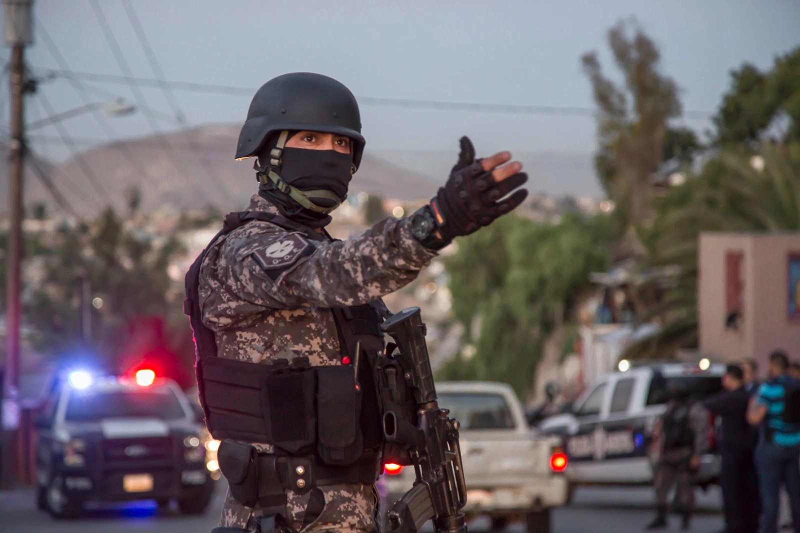 Seguridad ciudadana