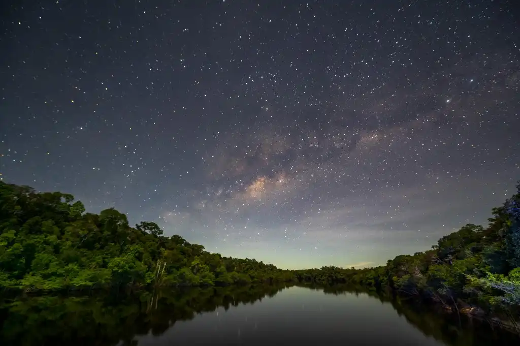 Amazonia brasileña deforestación