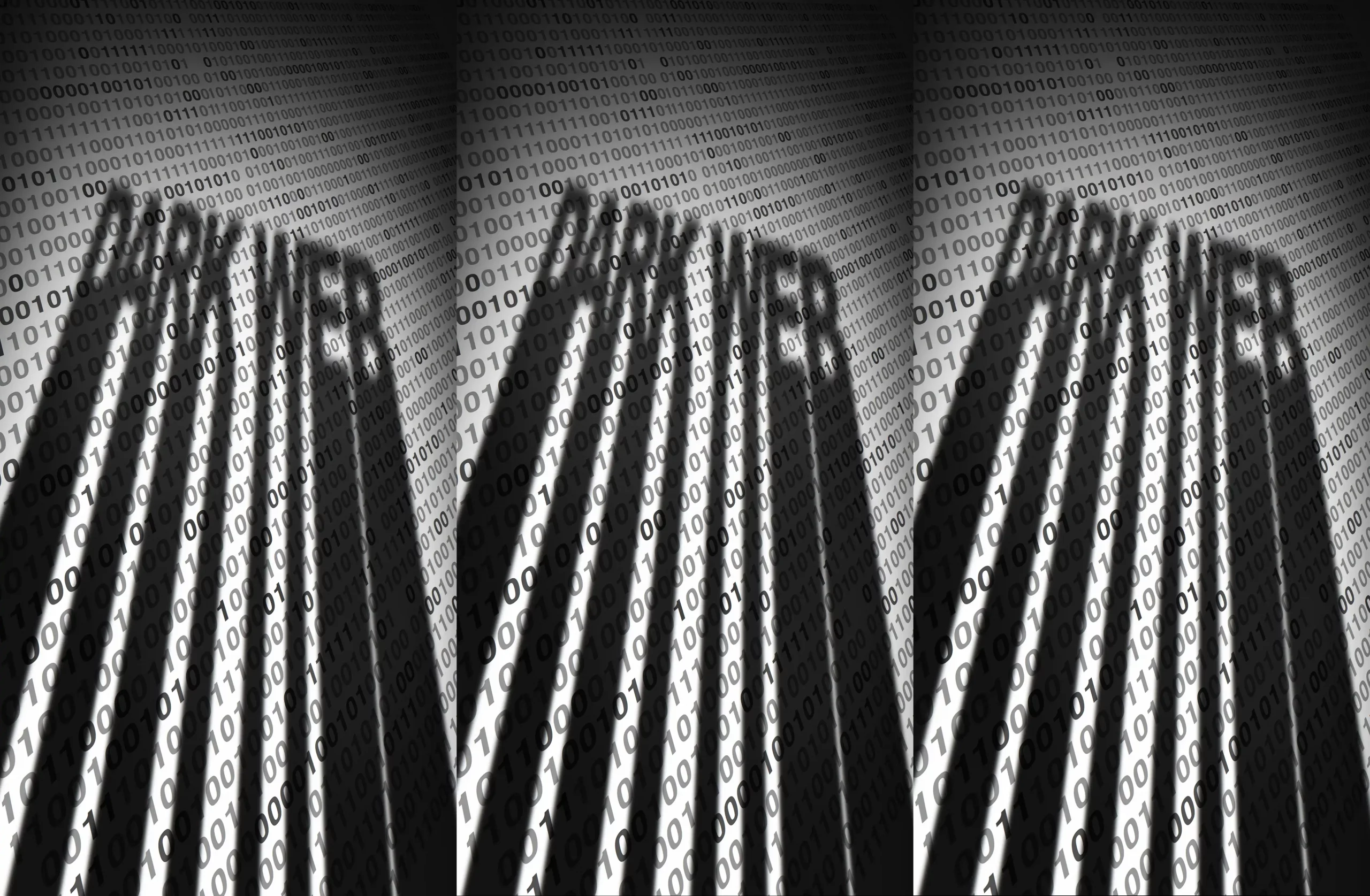 Dark Web