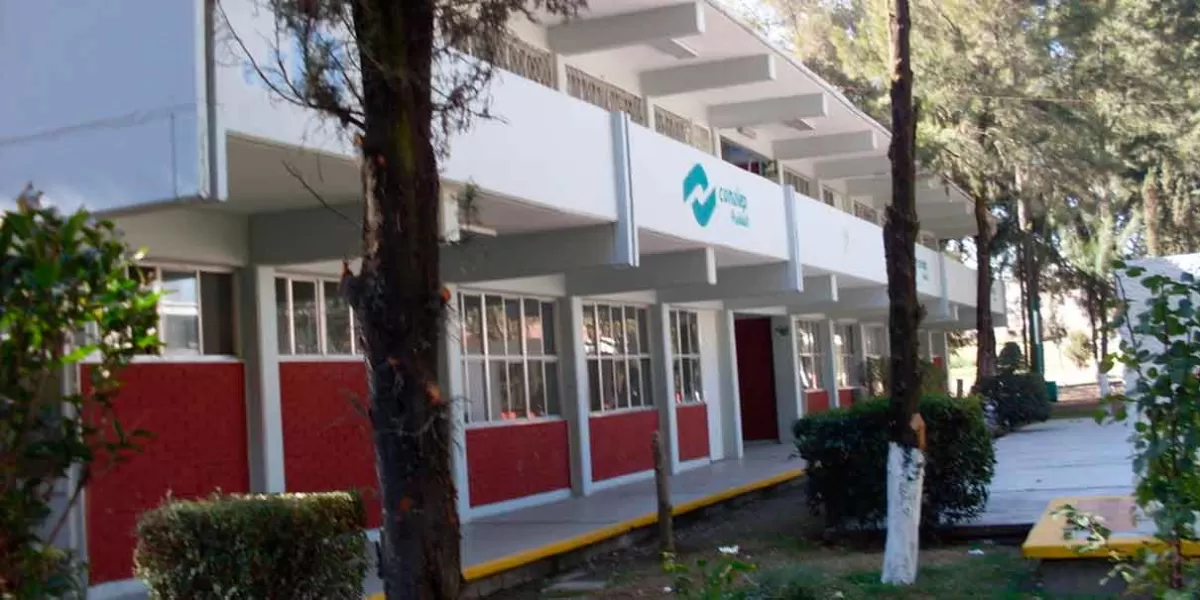 Casi 4 mil alumnos de 5 plantes Conalep regresan a las aulas el próximo lunes